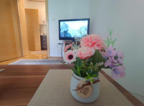 Apartment Centar